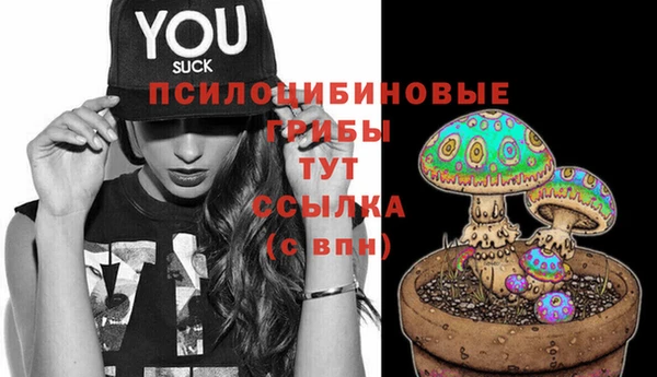 дживик Баксан
